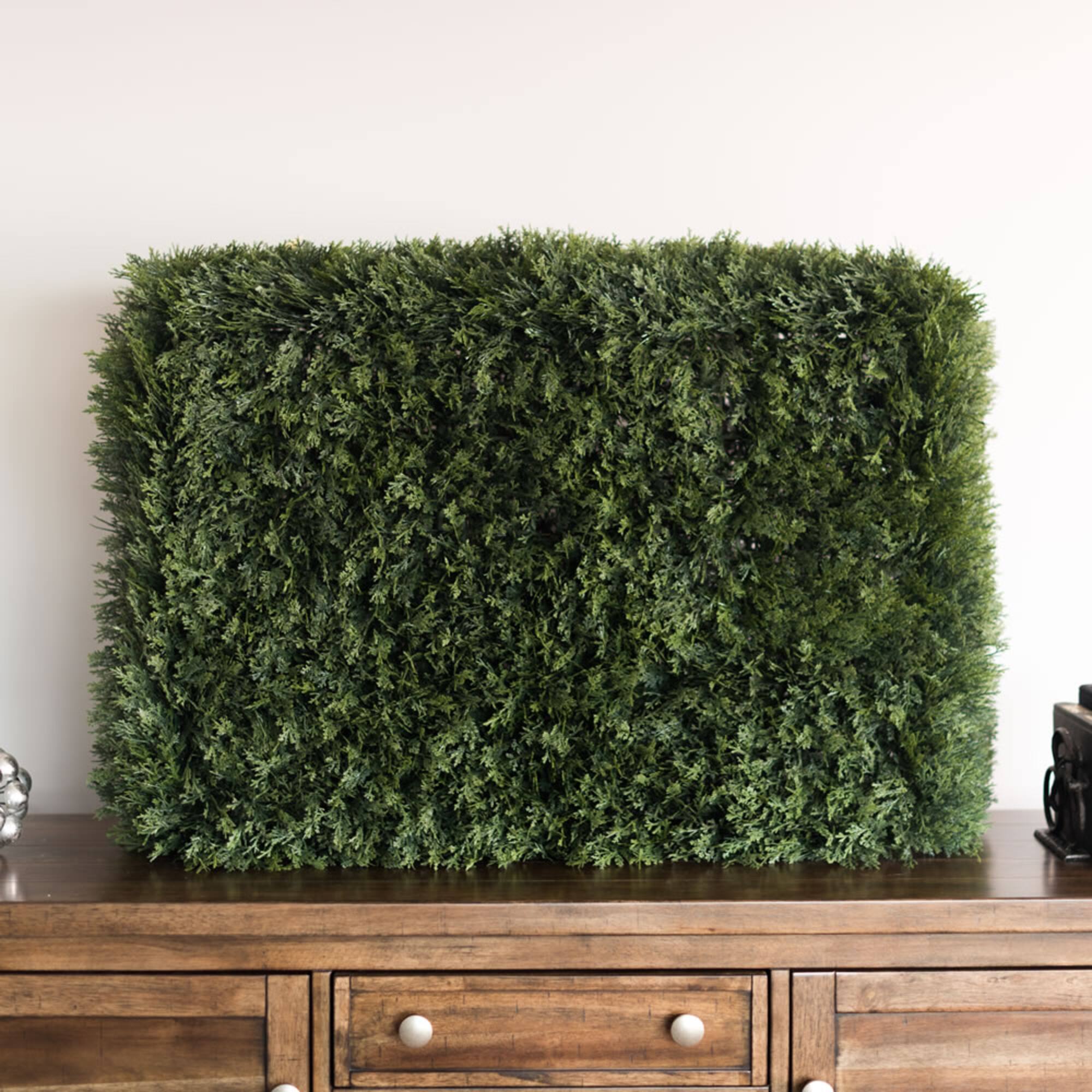 3ft. Green Cedar Hedge